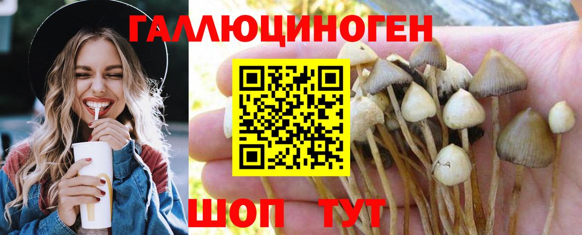 Галлюциногенные грибы прущие грибы Ейск